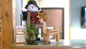 Christmas Display with Snowman and Reindeer on Counter