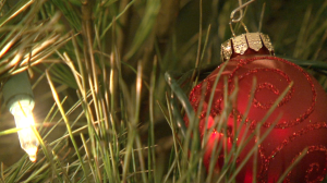 Closeup of Christmas Tree Light and Ornament