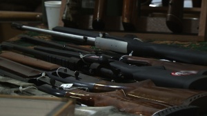 firearms hunting sales nics