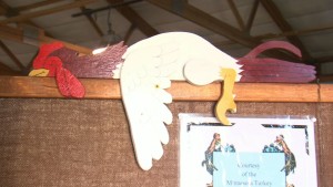 Poultry Display at Beltrami County Fair