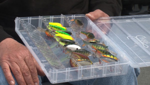 Fishing Crank Baits in Container