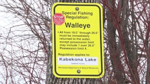 Walleye Fishing Regulations Sign