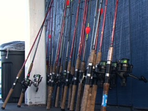 Summer Fishing Rods Leaning on Wall