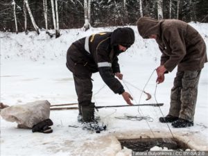 Ice Fishing (Netting)