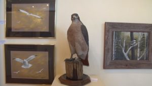 Jaques Art Museum Birds