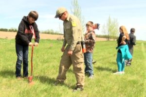 Clearbrook Gonvick Tree Planting online