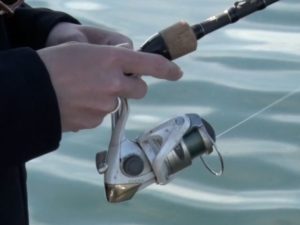 spinning reel and rod