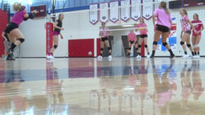 Pequot Lakes Volleyball
