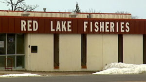 2006 Red Lake Walleye