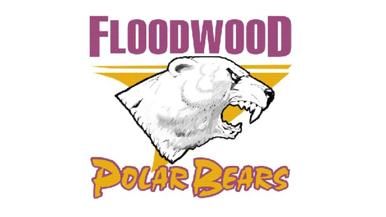 Floodwood School District