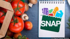 SNAP Food Stamps Generic 16x9