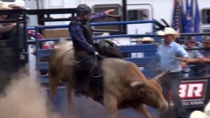 PRCA Rodeo Bull Riding sqk