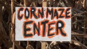 Corn Maze Fuller Farm Sign 16x9