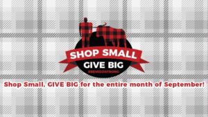 Shop Small Give Big Logo sqk