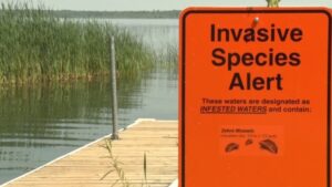 AIS Aquatic Invasive Species Lake Sign 16x9