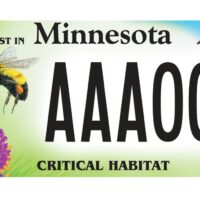 DNR’s New Critical Habitat Plate Features Minnesota Pollinators