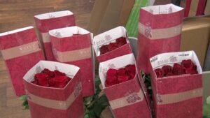 Netzer's Floral Roses Valentine's Day 16x9