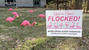 Bemidji Middle School You've Been Flocked Flamingos 16x9