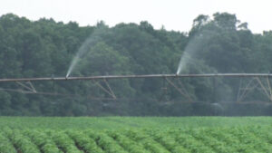 Farming Watering Crops Generic sqk