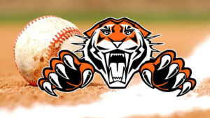 Pine River-Backus Tigers Baseball Generic sqk
