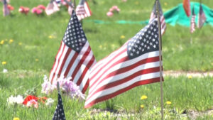 Memorial Day Cemetery American Flags sqk