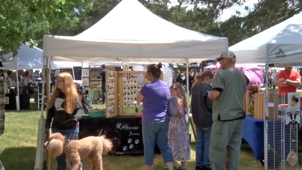 In Business Artists Showcase Their Work at Brainerd’s Arts in the Park
