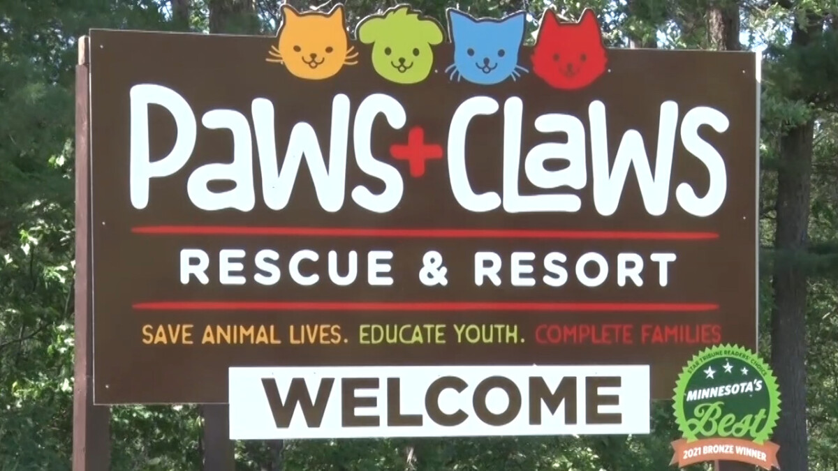 Paws+Claws Rescue & Resort in Hackensack Celebrates 5-Year Anniversary