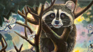 Wild Whimsy of the Northwoods Raccoon Artwork 16x9