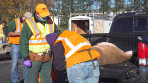 CWD Chronic Wasting Disease Deer Testing sqk