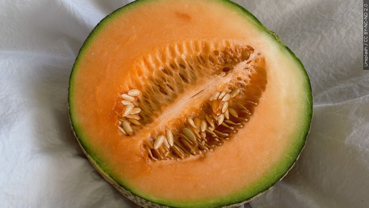 FDA Expands Cantaloupe Recall After Salmonella Infections Double in a