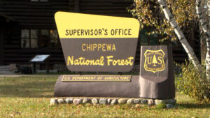 Chippewa National Forest Sign 16x9