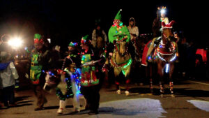 Harding Horse'n Around Christmas Parade 16x9