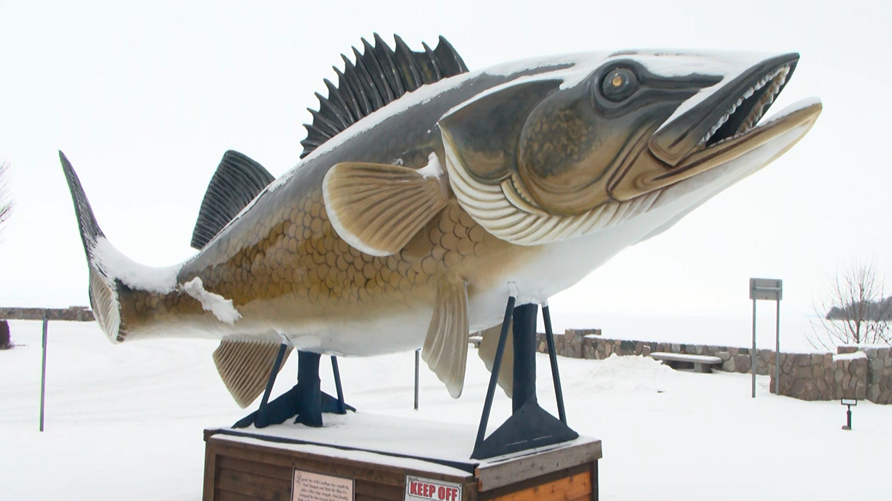 Walleye Statue on Mille Lacs Lake Gets a Fresh Remodel - Lakeland PBS