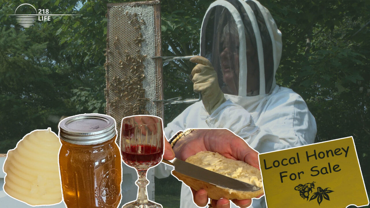 218bees tbnl web