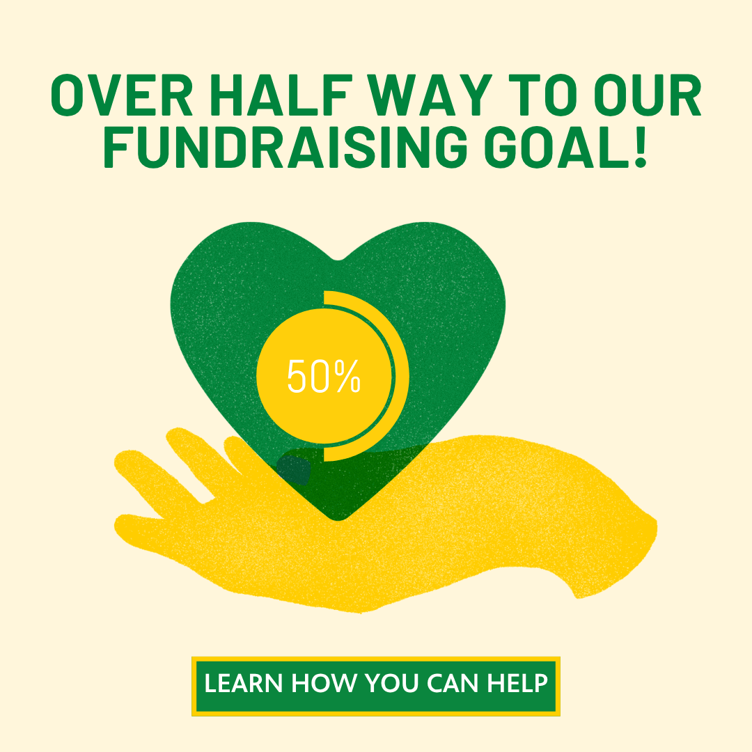 Viewers Like You Fund