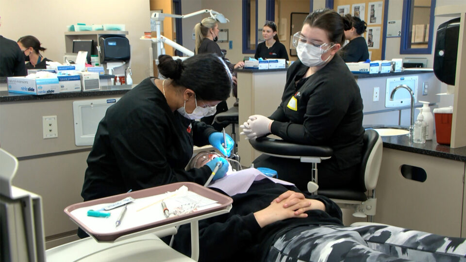 Clc Give Kids A Smile Day Dental