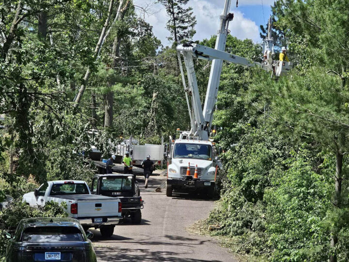 Crow Wing County Storm Cleanup Trees Resize