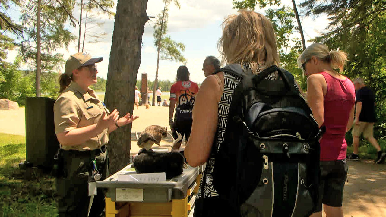 Itasca State Park Hosting Interactive Nature Programs for Summer
