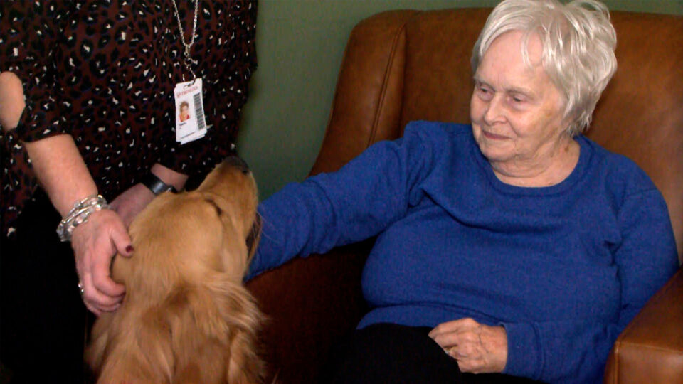 Riggs Pillars Of Grand Rapids Assisted Living Therapy Dog 16x9 1