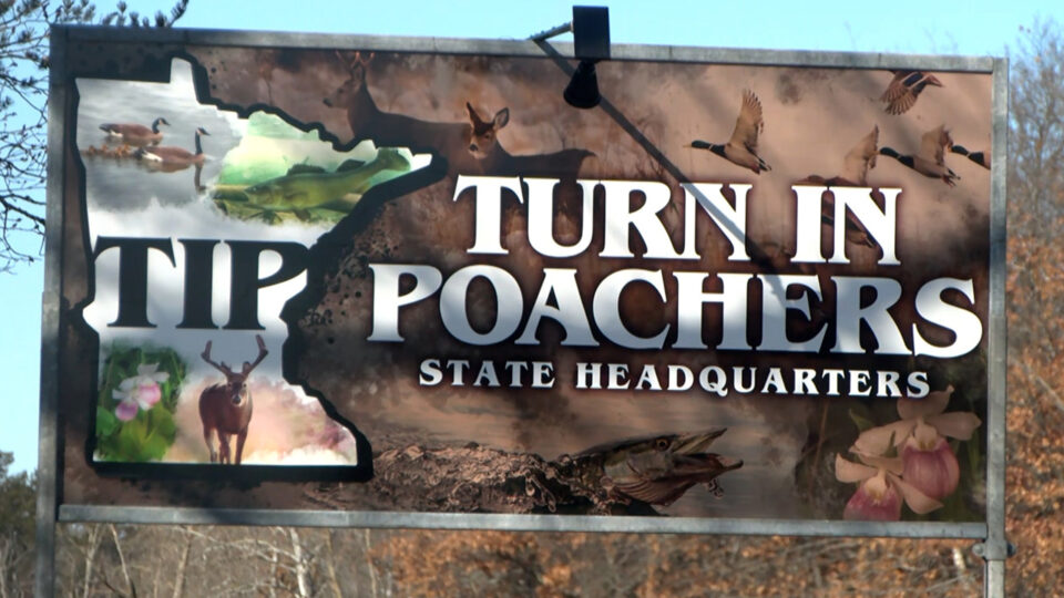 Turn In Poachers Tip Sign 16x9 1