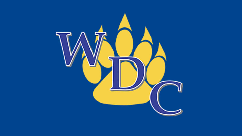 Wadena Deer Creek Schools Logos Sqk