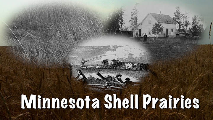 Minnesota Shell Prairies