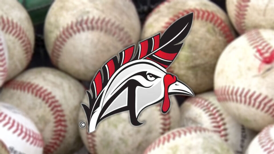 aitkin gobblers baseball generic sqk