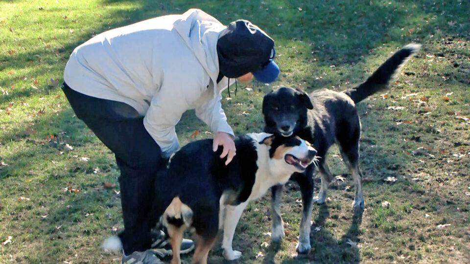 baxter dog park thumbnail