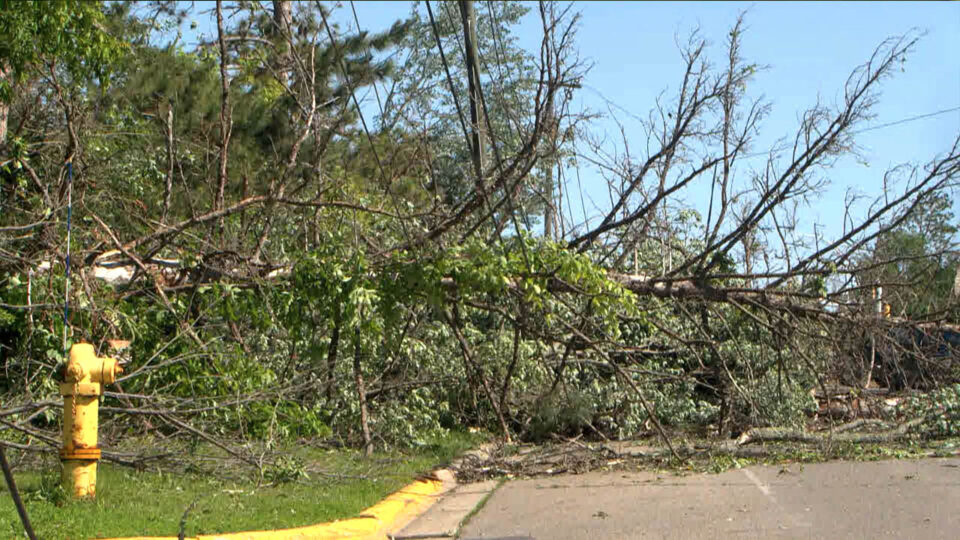 bemidji storm damage trees road thumbnail
