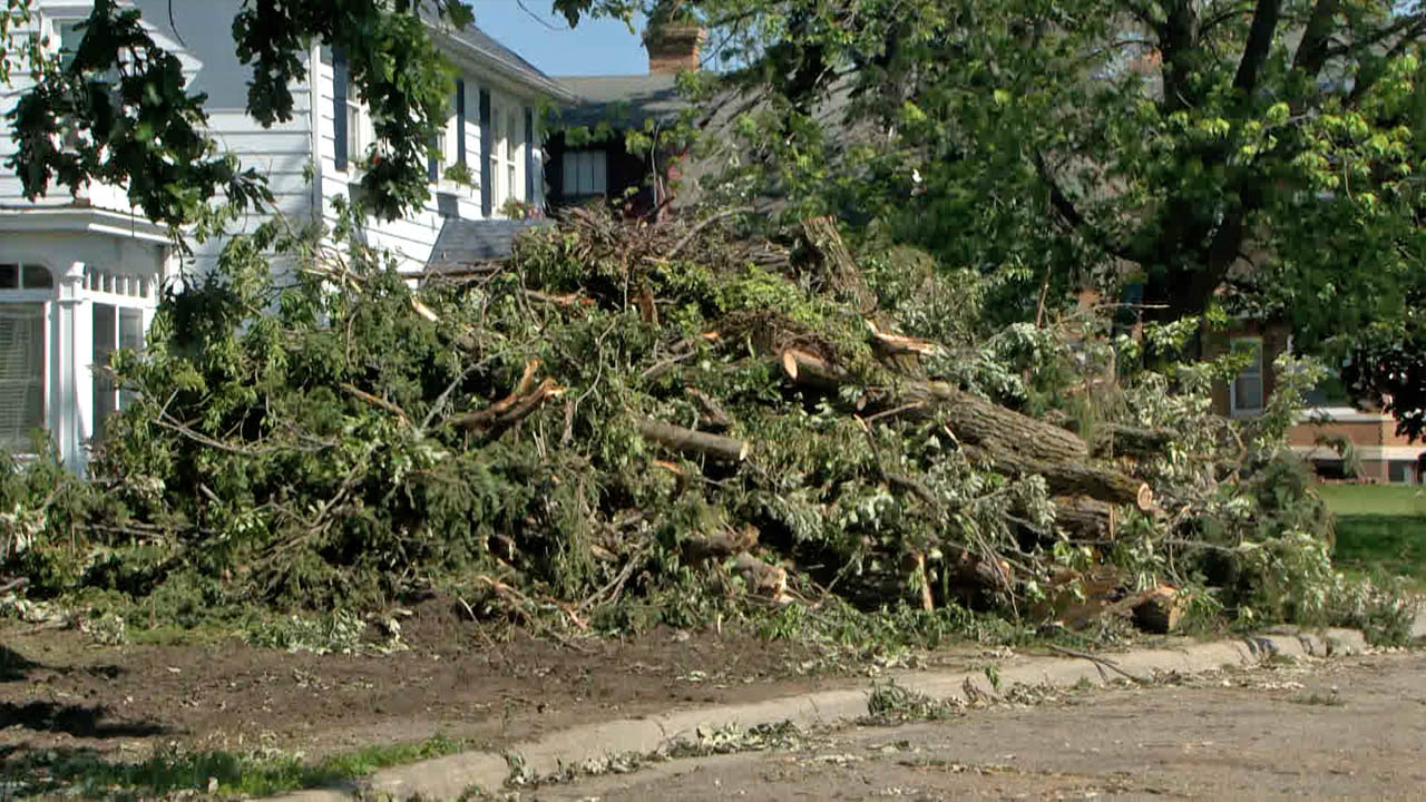 Bemidji Fire Department Discouraging Burning of Debris from June Storm