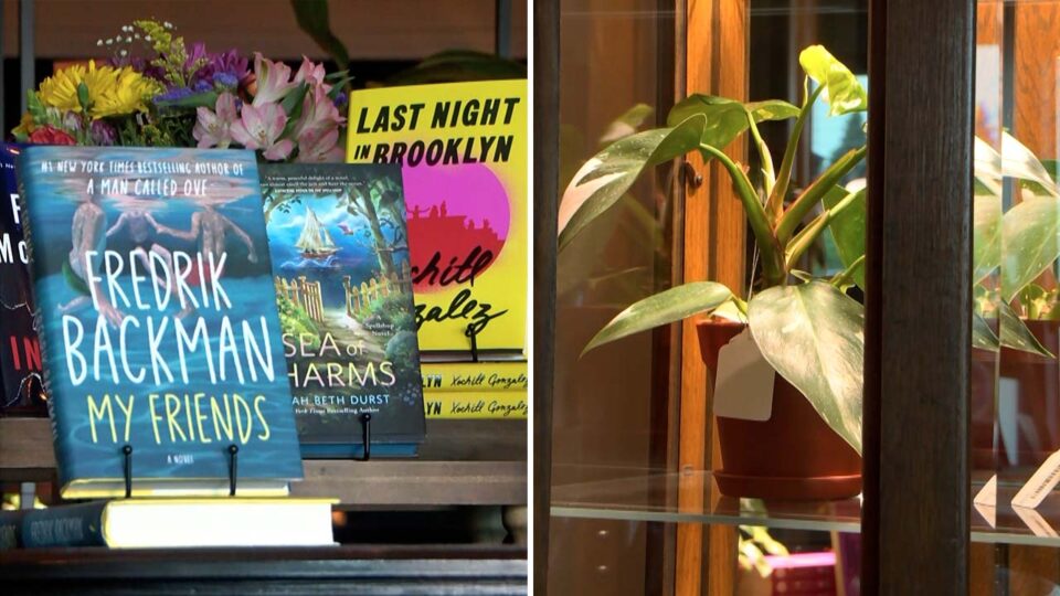 books & botanicals brainerd