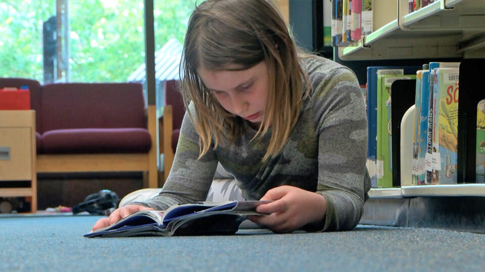 brainerd public library children's section book sqk