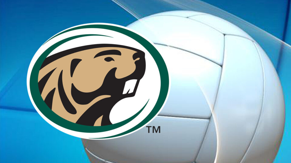 bsu beavers volleyball generic new logo sqk