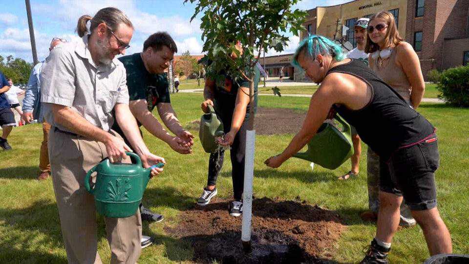 bsu replant our roots trees thumbnail